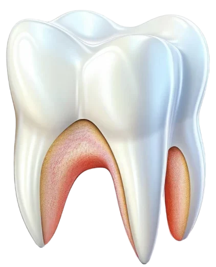 teeth_service